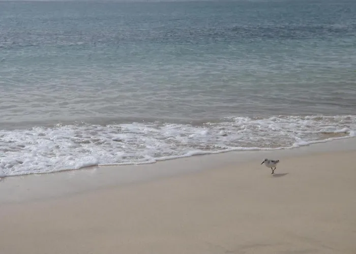 Strandnahe In By Interhome Apartment *